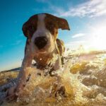 Know It. Own It. Share It.