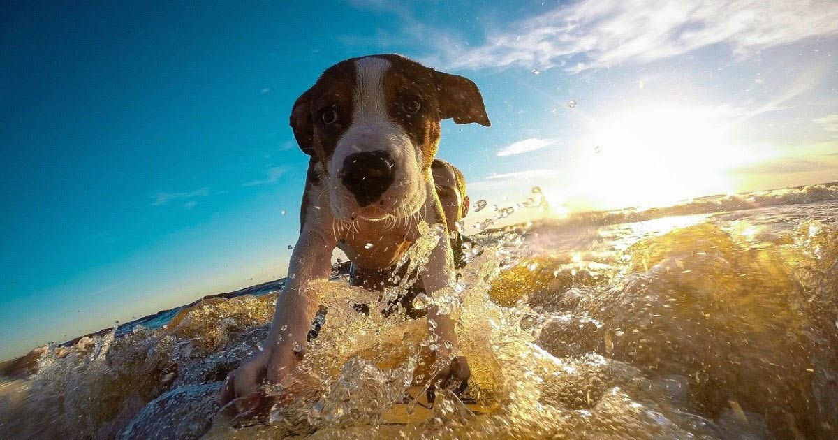 Know It. Own It. Share It.