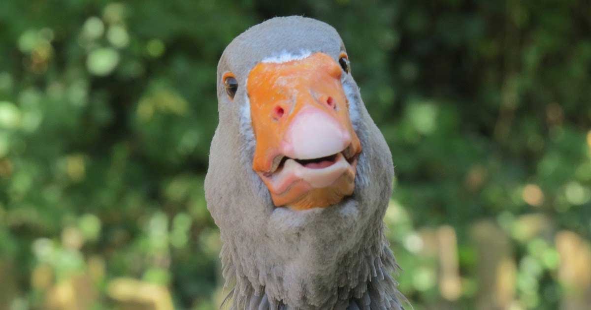 Tell Me About Yourself