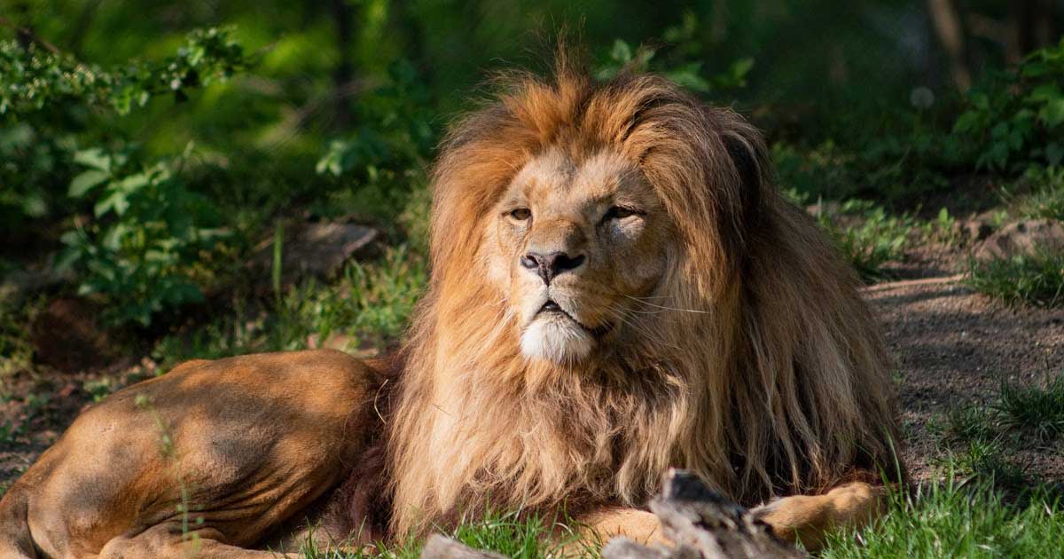 Personal Power Points