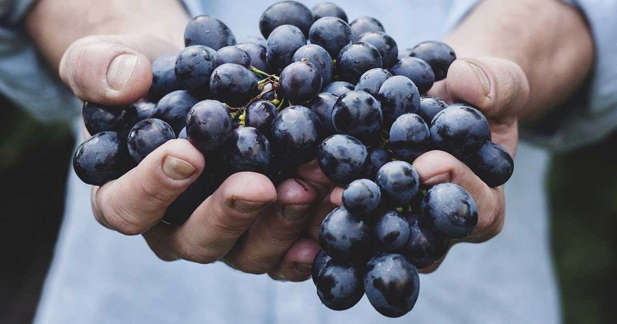 Massive Results, No Problem