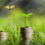 Like Money in the Bank