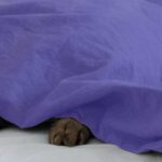 The Post Holiday Blues The Post Holiday Blues