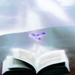 Become a Business Success Story