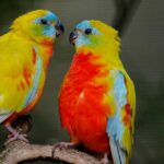 Making Authentic Connections