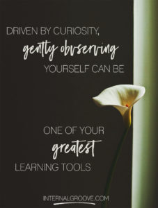 Driven by curiosity, gently observing yourself can be one of your greatest learning tools