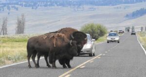 Detours on Your Career Path