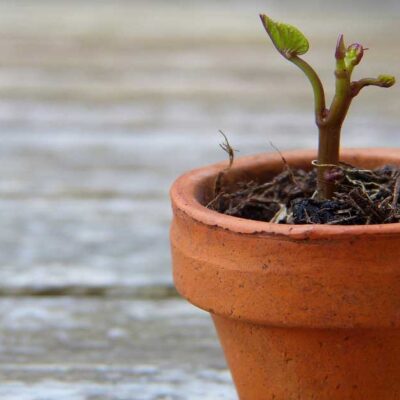 The Other Side of Entrepreneurship