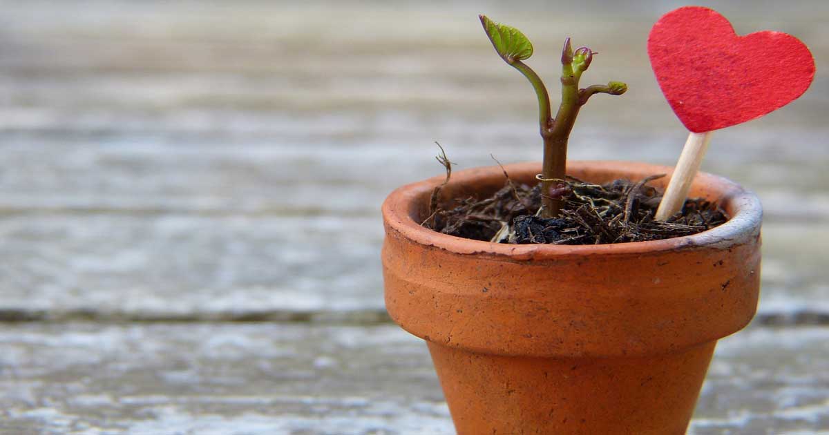 The Other Side of Entrepreneurship