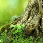 The Roots of Burnout Syndrome