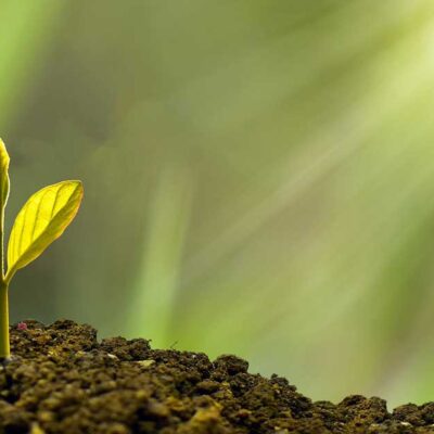 Job Satisfaction and Your Personal Growth