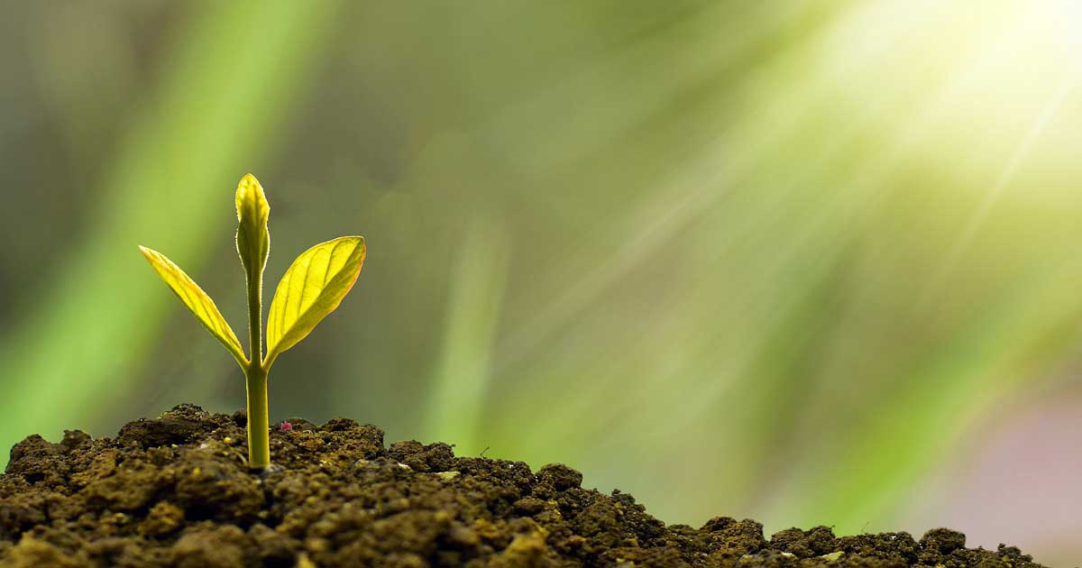 Job Satisfaction and Your Personal Growth