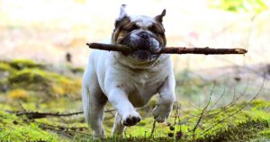 Standing in Your Truth with Grace and Style