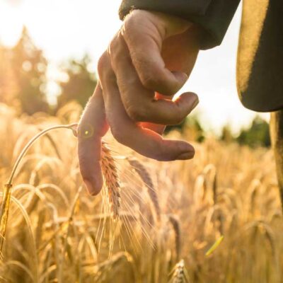 Do You Have An Entrepreneurial Spirit