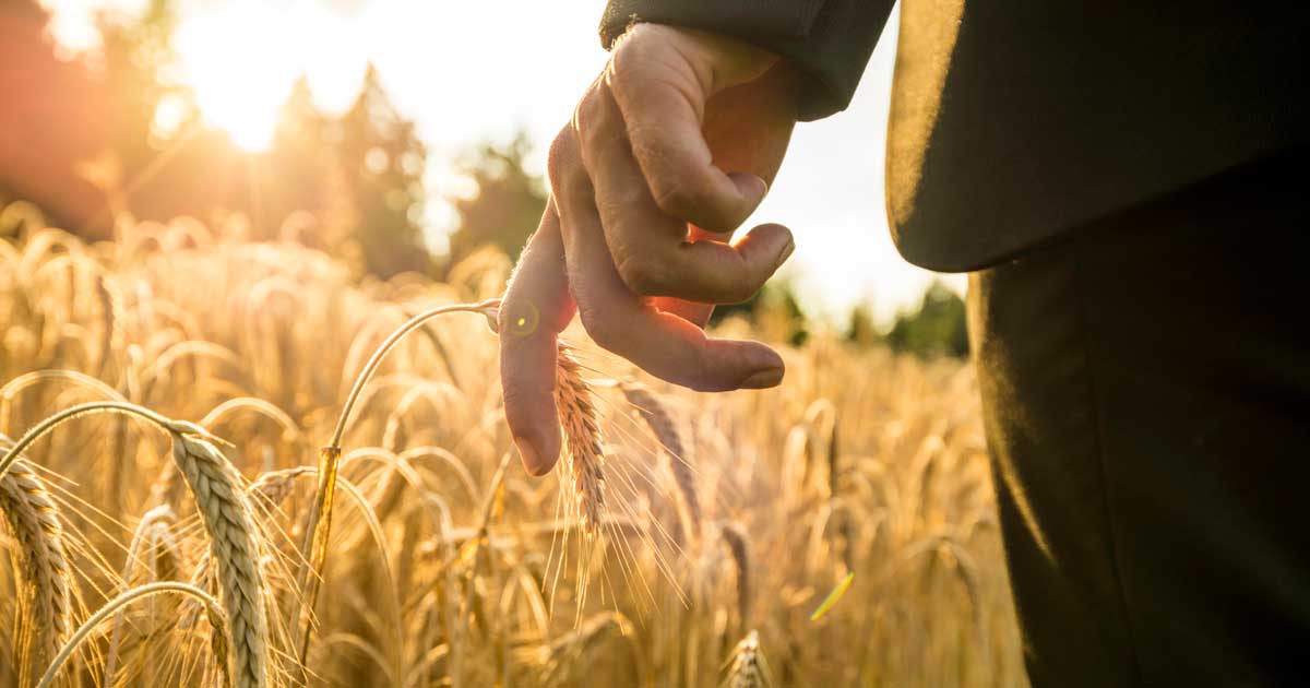 Do You Have An Entrepreneurial Spirit