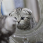 Your Best Self Empowerment Tool Your Best Self Empowerment Tool