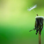 Embrace Change and Expect a Positive Outcome