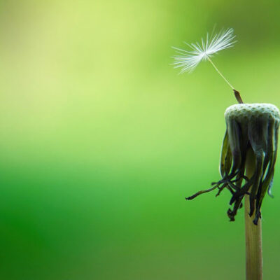 Embrace Change and Expect a Positive Outcome