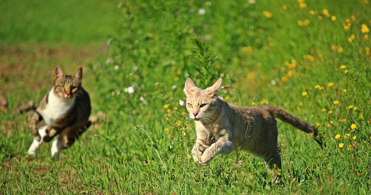 Your Strengths and Talents Are Clues