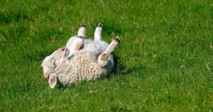 Feel Good Networking Tools