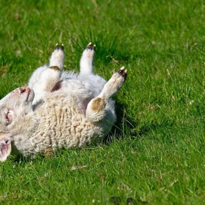 Feel Good Networking Tools