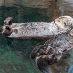 Your Gifts and Talents Are Job Satisfaction Factors