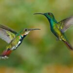 How to Build Self Confidence with the Law of Attraction