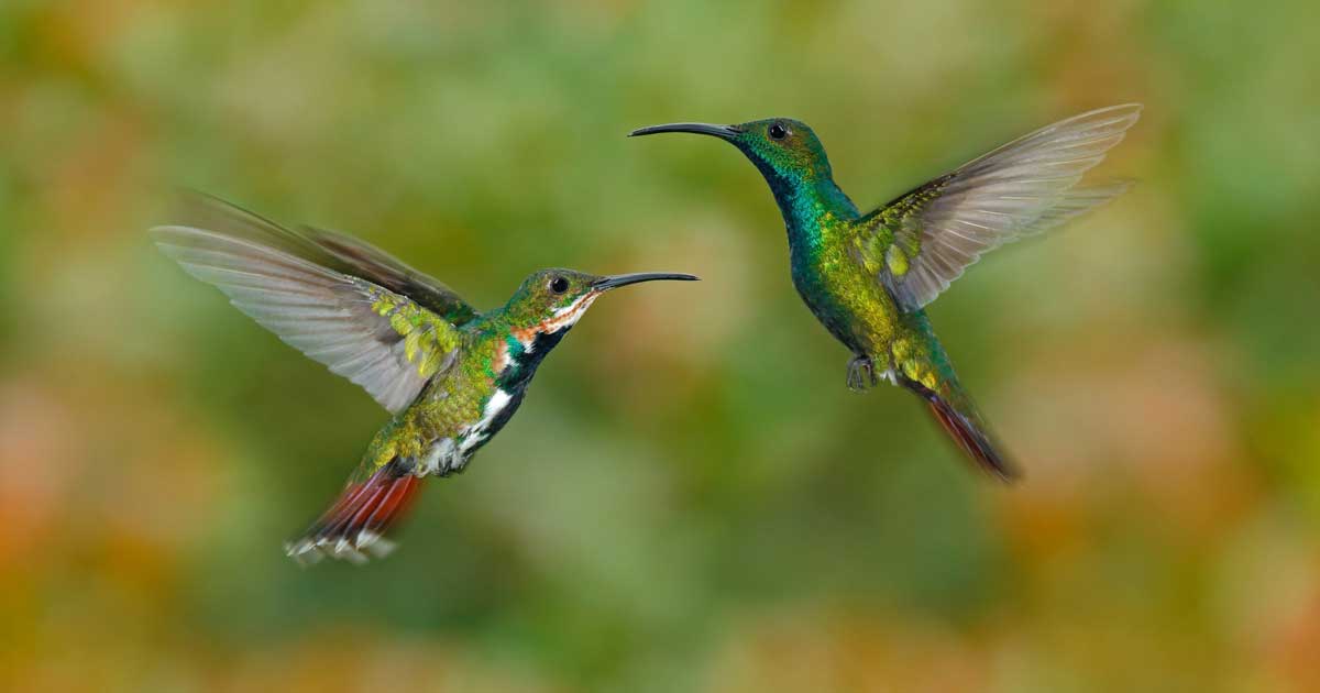 How to Build Self Confidence with the Law of Attraction