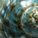 Mapping Your Career Strategy From the Inside Out