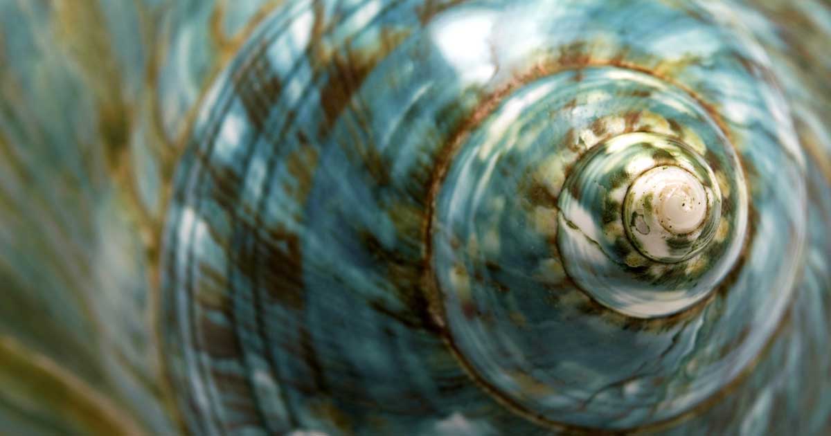 Mapping Your Career Strategy From the Inside Out