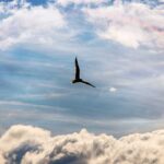 How to Create Positive Change when you Lose Your Job