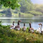 Networking Activities That Allow You To Be True To Yourself